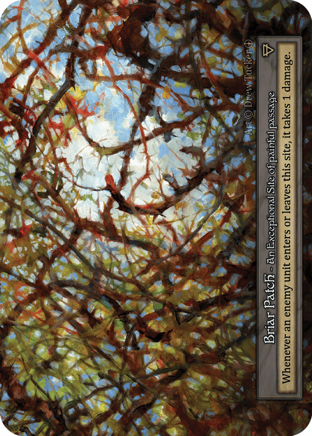art_briar_patch_b_s