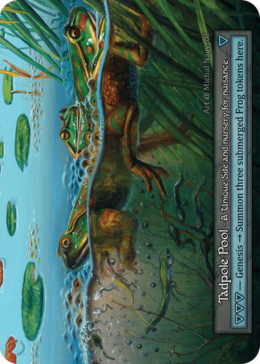 https://d27a44hjr9gen3.cloudfront.net/cards/001-tadpole_pool-b-s.png